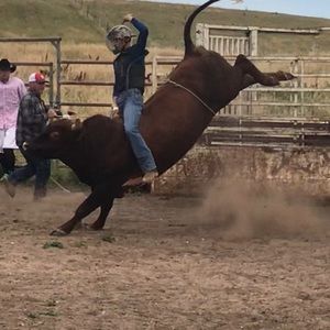 Meet your Posher, Ryder